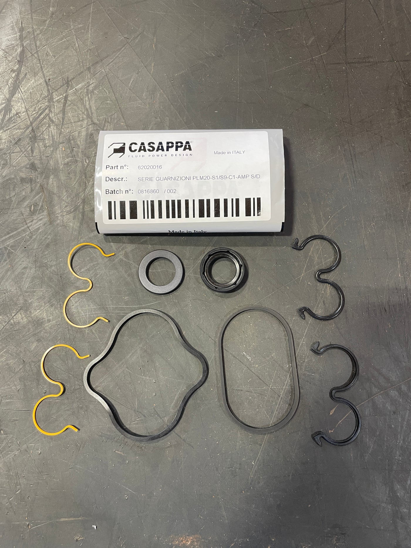 Casappa Motor Seal Kit